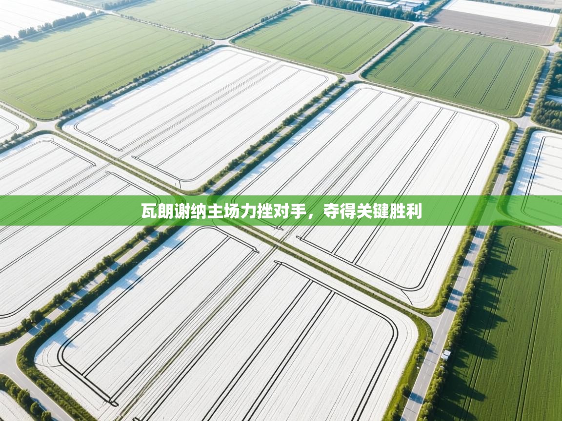 瓦朗谢纳主场力挫对手,夺得关键胜利 第1张